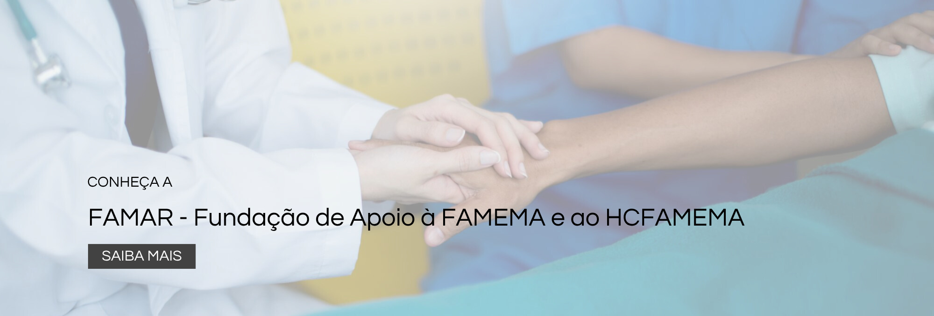 BANNER-PRINCIPAL-FAMAR